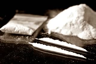 DRI Seized cocaine