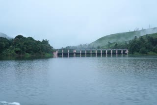 mullaperiyar dam water level updation  mullaperiyar dam  water level in mullaperiyar  mullaperiyar  idukki mullaperiyar  മുല്ലപ്പെരിയാർ  മുല്ലപ്പെരിയാർ ഡാം  മുല്ലപ്പെരിയാർ ഡാം ജലനിരപ്പ്  മുല്ലപ്പെരിയാർ ജലനിരപ്പ്  മുല്ലപ്പെരിയാർ അണക്കെട്ടിലെ ജലനിരപ്പ്‌  മുല്ലപ്പെരിയാർ ജലനിരപ്പിൽ ജാഗ്രത നിർദ്ദേശം  ആദ്യ ജാഗ്രത നിർദേശം മുല്ലപ്പെരിയാർ  മുല്ലപ്പെരിയാർ അണക്കെട്ടിലെ ജലനിരപ്പ് ഉയർന്നു