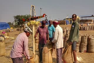 Balod district second ranks in paddy procurement