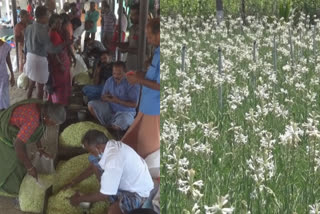 சத்தியமங்கலம் பூ மார்க்கெட்டில் மல்லிகை ரூ.1550 ஆக சரிவு