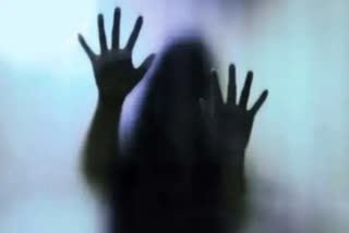 Maharashtra  Kurla  gangrape  42 year old lady  illegally enters into home  യുവതി  Three men gang  മൂന്നംഗ സംഘം  വീട്ടില്‍  കൂട്ടബലാത്സംഗത്തിനിരയാക്കി  സ്വകാര്യഭാഗങ്ങളില്‍  സിഗരറ്റ്  കുര്‍ള  മഹാരാഷ്‌ട്ര  മുംബൈ  പ്രതി  വീഡിയോ  സംഭവം