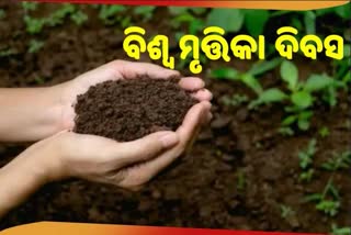 World Soil Day