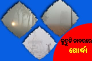 ଖୋର୍ଦ୍ଧାରେ ଘନ କୁହୁଡି