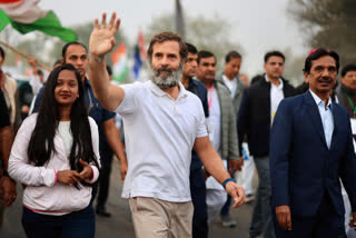 Rahul gandhi bharat jodo yatra