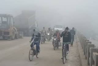 Cold increased in Bihar due to westerly wind