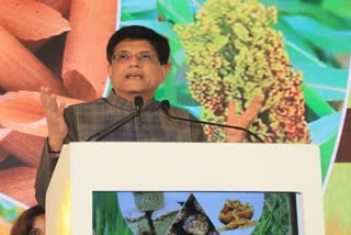 We should find new markets for Indian millets: Goyal