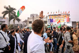 Rahul Gandhi Bharat Jodo Yatra in Rajasthan