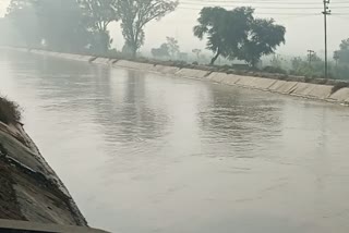 Sri Muktsar Sahib a woman jumped into the canal