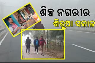 ରାଉରକେଲା ସହରରେ ବଢୁଛି ଶୀତର ପ୍ରକୋପ, ଶୀତୁଆ ସକାଳର ମଜା ନେଉଛନ୍ତି ସହରବାସୀ