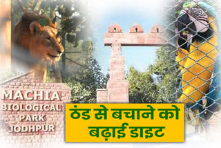 Machia Biological Park Jodhpur