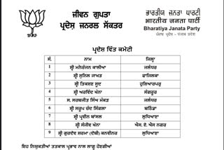 BJP released a new list,Announced Core Committee and Finance Committee