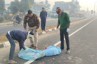 Dog gnaws at an unclaimed body laying on NH-91 in UP's Aligarh