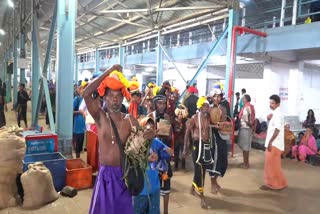 Devotees from Kani tribe visit Sabarimala  അഗസ്ത്യാർകൂട മല  ശബരിമല  കാണി സമുദായം ശബരിമല ദര്‍ശനം  Sabarimala news  Kani tribe ritualistic visit to Sabarimala  ശബരിമല വാര്‍ത്തകള്‍