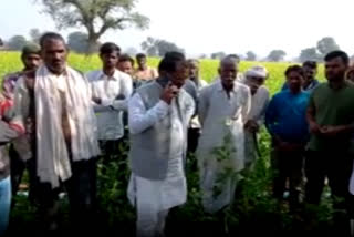 farmer died due to electric current in Alwar