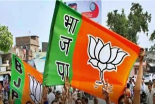 BJP flag