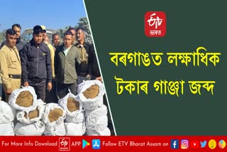 বিশ্বনাথ আৰক্ষীৰ সফলতা, বৰগাঙত জব্দ এক কুইণ্টল গাঞ্জা