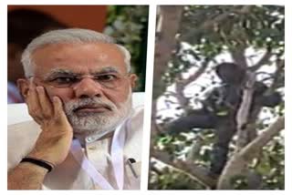 Young Man Climb on the Tree outside of Purulia Junction in demand to meet PM Narendra Modi