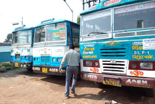 Supreme court stays National Green Tribunal order over scrapping of 15 years old cars