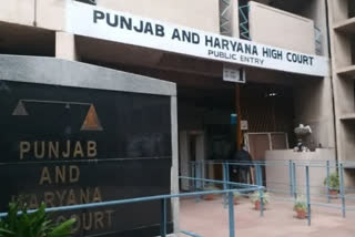 Punjab and Haryana High Court decision regarding kidney transplant