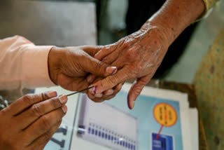 M Factor in Gujarat Assembly Polls 2022