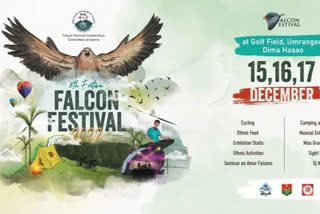 Falcon Festival 2022