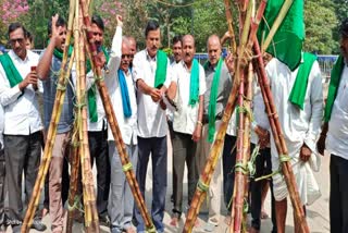 Sugarcane growers union protest