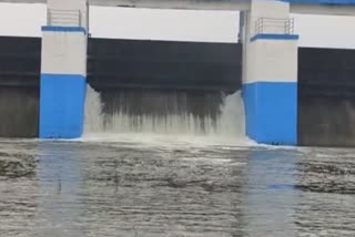 Etv Bharatநீர்வரத்து அதிகரிப்பால் செம்பரப்பாக்கம் ஏரியில் 100 கன அடி நீர் திறக்கப்பட்டது