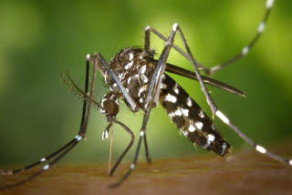 Researchers develop new way to detect malaria