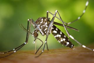 Way to Detect Malaria