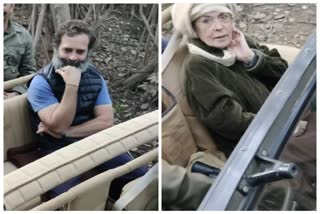 Rahul Priyanka and Sonia Gandhi in sawai Madhopur, Rahul Gandhi in Ranthambore tiger reserve