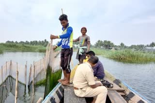 illegal gheri removed in chilika