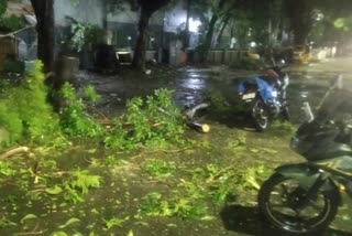 Etv Bharat Cyclone Mandus in Tamil Nadu
