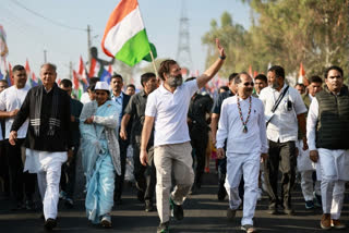 Rahul starts walking again after moms birthday break