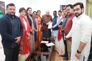 Maharashtra delegation's meeting with Shah