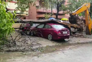 Cyclone Effec,Cyclone Mandaus Effect,Cyclone mandous triggers,Cyclone Mandous triggers heavy rainfall in Tamil Nadu,heavy rainfall in Tamil Nadu,ಮ್ಯಾಂಡೌಸ್ ಚಂಡಮಾರುತ,ಚೆನ್ನೈನಲ್ಲಿ ಚಂಡಮಾರುತ,ವಿದ್ಯುತ್ ಪೂರೈಕೆ ಸ್ಥಗಿತ,ತಗ್ಗು ಪ್ರದೇಶಗಳು ಜಲಾವೃತ,ತಮಿಳುನಾಡಲ್ಲಿ ಭಾರಿ ಮಳೆ,ತಮಿಳುನಾಡು ಹಾಗೂ ಆಂಧ್ರಪ್ರದೇಶದಲ್ಲಿ ಭಾರೀ ಮಳೆ,ಚಂಡಮಾರುತದ ಪರಿಣಾಮಗಳು,ಭಾರತಕ್ಕೆ ಅಪ್ಪಳಿಸಿದ ಚಂಡಮಾರುತಗಳು