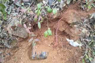 ied blast during search operation in chaibasa