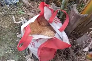 Bomb recovered from vegetable garden at Bhangar