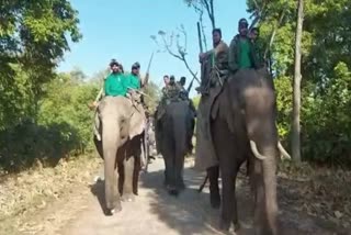 Rajaji Tiger Reserve