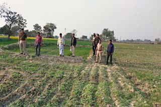 Poppy Cultivation