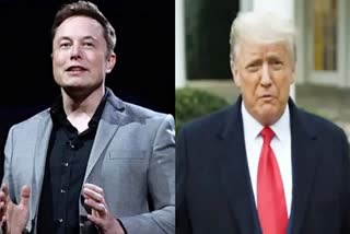 Top Twitter Execs Interfered with US Election Before Banning Trump : Musk files