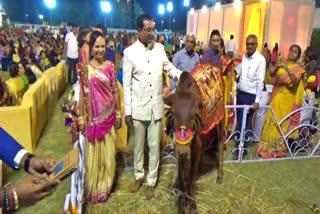 Unique wedding: Man gifts a cow to daughter at her wedding