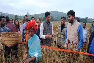 agriculture secretary and koraput collector visit millets farming