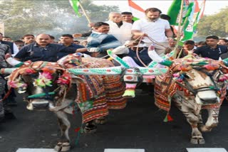 Rahul Gandhi On Bullock Cart