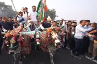 Rahul Gandhi On Bullock Cart