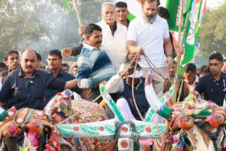 Bharat Jodo Yatra in Bundi