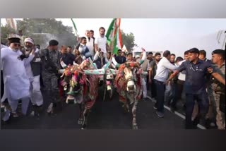 rahul-gandhi-enjoys-bullock-cart-ride-in-bundi