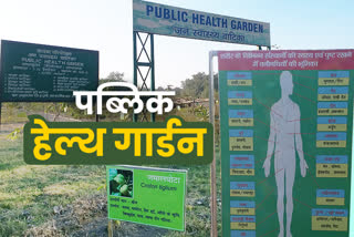 Country first public health garden in Lalkuan
