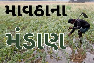 ગુજરાતમાં કમોસમી આફત, ખેડૂતો ચિંતામાં