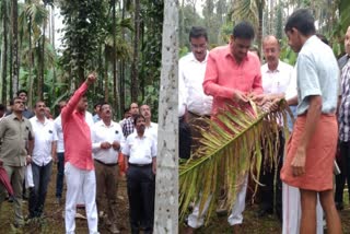 Inspection of leaf spot and leaf disease affected areas of nut orchards