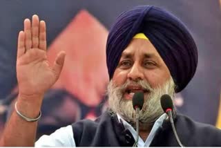 sit summons ex deputy cm sukhbir badal